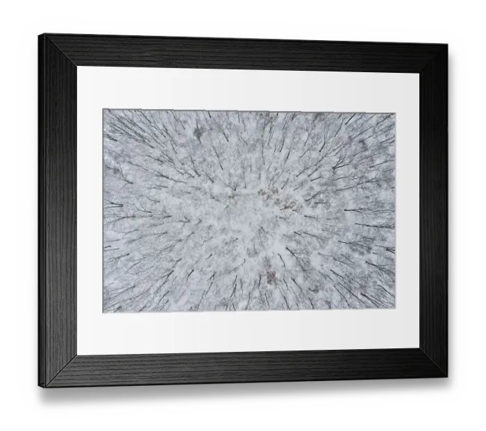 Framed Print : Aerial of forest after snowfall, Marion County, Illinois. (Editorial Use Only) Framed Print : Aerial of forest after snowfall, Marion County, Illinois. (Editorial Use Only)