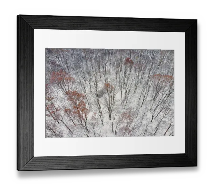 Framed Print : Aerial of forest after snowfall, Marion County, Illinois Framed Print : Aerial of forest after snowfall, Marion County, Illinois