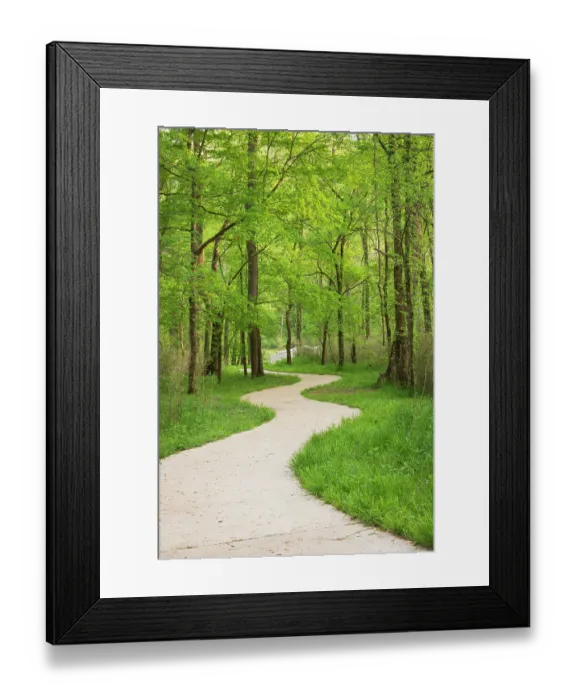 Framed Print : Mammoth Cave National Park, Kentucky Framed Print : Mammoth Cave National Park, Kentucky