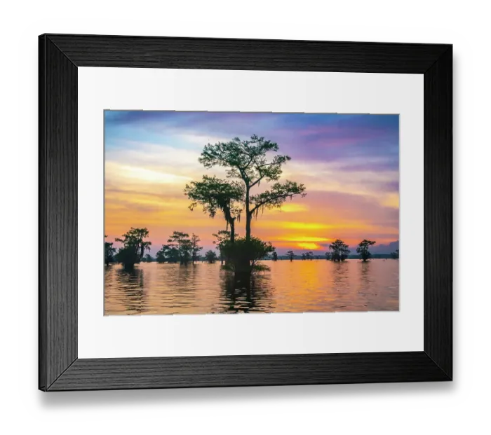 Framed Print : USA, Louisiana, Atchafalaya Basin, Atchafalaya Swamp. Cypress trees reflect on at sunrise Framed Print : USA, Louisiana, Atchafalaya Basin, Atchafalaya Swamp. Cypress trees reflect on at sunrise
