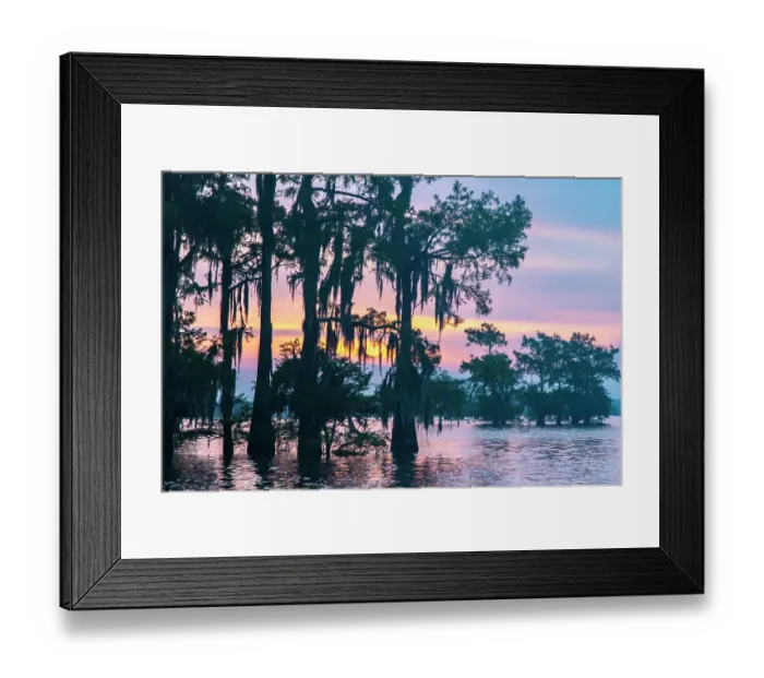 Framed Print : USA, Louisiana, Atchafalaya Basin, Atchafalaya Swamp. Cypress trees reflect on at sunrise Framed Print : USA, Louisiana, Atchafalaya Basin, Atchafalaya Swamp. Cypress trees reflect on at sunrise