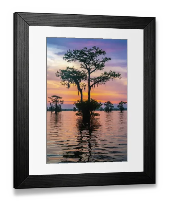Framed Print : USA, Louisiana, Atchafalaya Basin, Atchafalaya Swamp. Cypress trees reflect on at sunrise Framed Print : USA, Louisiana, Atchafalaya Basin, Atchafalaya Swamp. Cypress trees reflect on at sunrise