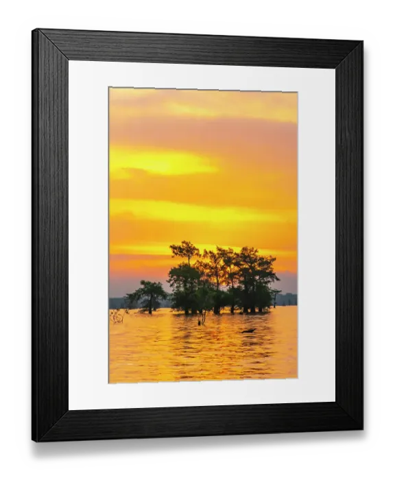Framed Print : USA, Louisiana, Atchafalaya Basin, Atchafalaya Swamp. Cypress trees reflect on at sunrise Framed Print : USA, Louisiana, Atchafalaya Basin, Atchafalaya Swamp. Cypress trees reflect on at sunrise