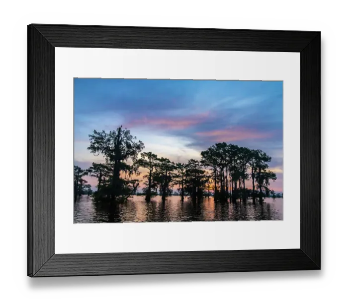 Framed Print : USA, Louisiana, Atchafalaya Basin, Atchafalaya Swamp. Cypress trees reflect on at sunrise Framed Print : USA, Louisiana, Atchafalaya Basin, Atchafalaya Swamp. Cypress trees reflect on at sunrise