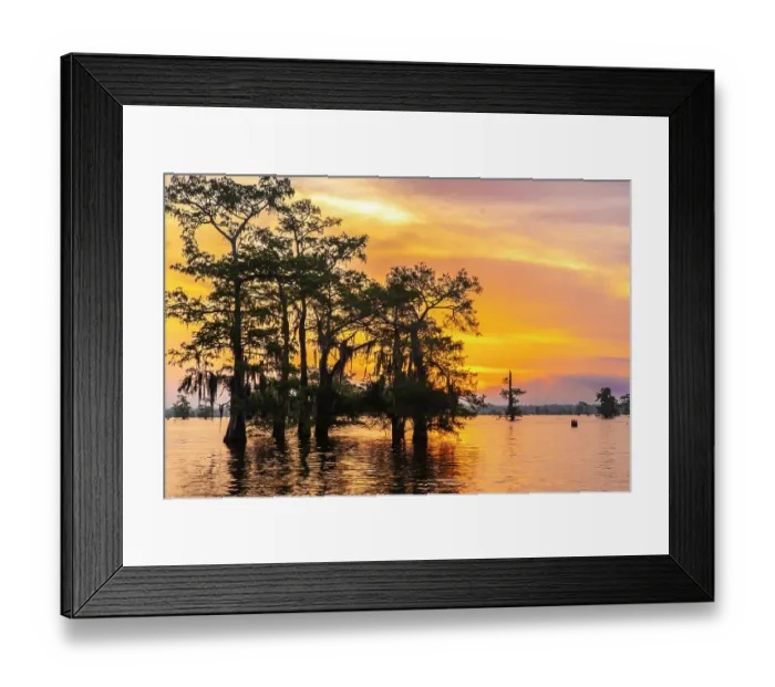 Framed Print : USA, Louisiana, Atchafalaya Basin, Atchafalaya Swamp. Cypress trees reflect on at sunrise Framed Print : USA, Louisiana, Atchafalaya Basin, Atchafalaya Swamp. Cypress trees reflect on at sunrise