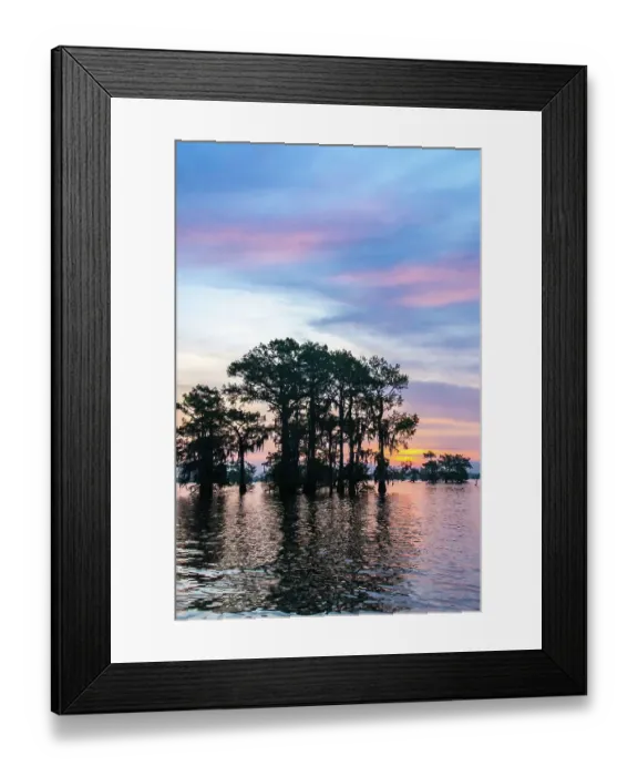 Framed Print : USA, Louisiana, Atchafalaya Basin, Atchafalaya Swamp. Cypress trees reflect on at sunrise Framed Print : USA, Louisiana, Atchafalaya Basin, Atchafalaya Swamp. Cypress trees reflect on at sunrise
