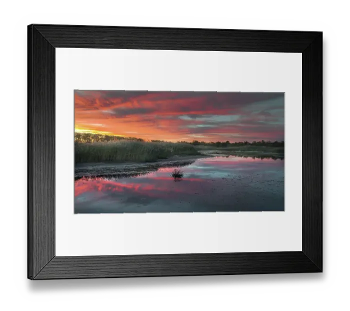 Framed Print : USA, New Jersey, Cape May National Seashore. Sunrise on marsh