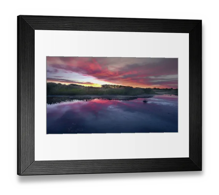 Framed Print : USA, New Jersey, Cape May National Seashore. Sunrise on marsh