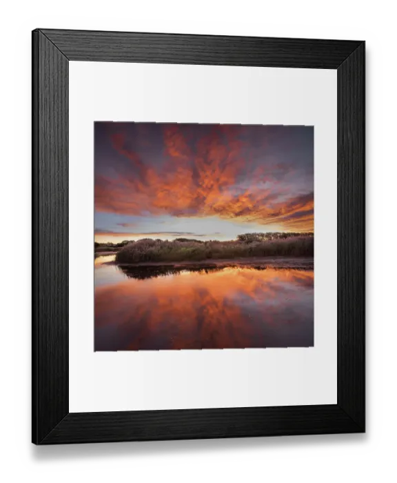 Framed Print : USA, New Jersey, Cape May National Seashore. Sunrise on marsh Framed Print : USA, New Jersey, Cape May National Seashore. Sunrise on marsh