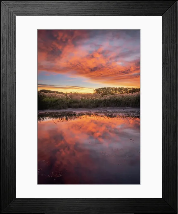 Framed Print : USA, New Jersey, Cape May National Seashore. Sunrise on marsh Framed Print : USA, New Jersey, Cape May National Seashore. Sunrise on marsh