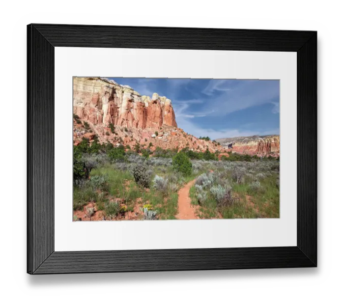 Framed Print : USA, New Mexico. Path in Carson National Forest, near Ghost Ranch Framed Print : USA, New Mexico. Path in Carson National Forest, near Ghost Ranch