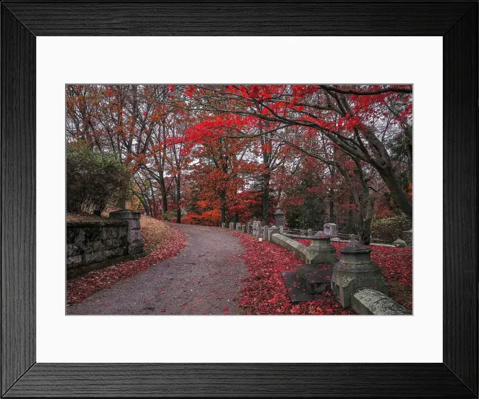 Framed Print : USA, Sleepy Hollow. Sleepy Hollow Cemetery. (PR) Framed Print : USA, Sleepy Hollow. Sleepy Hollow Cemetery. (PR)