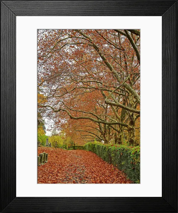 Framed Print : USA, Sleepy Hollow. Sleepy Hollow Cemetery. (PR) Framed Print : USA, Sleepy Hollow. Sleepy Hollow Cemetery. (PR)