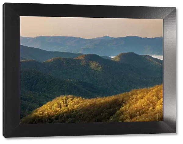 First light hitting mountain slope in Deep Creek Valley, Great Smoky Mountains National Park, North Carolina