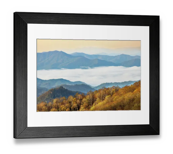 Framed Print : Spring morning and river of mist in Deep Creek Valley, Great Smoky Mountains National Park, North Carolina