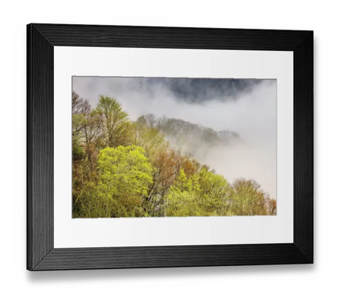 Framed Print : Mist rising from tapestry of blooming trees in spring, Great Smoky Mountains National Park, North Carolina Framed Print : Mist rising from tapestry of blooming trees in spring, Great Smoky Mountains National Park, North Carolina