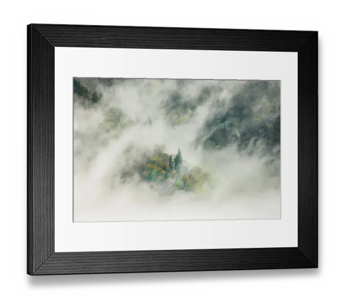 Framed Print : Mist rising from tapestry of blooming trees in spring, Great Smoky Mountains National Park, North Carolina