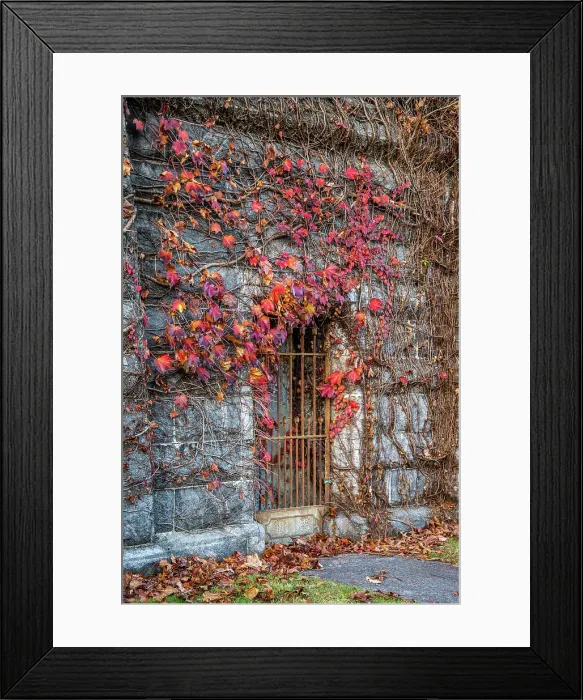 Framed Print : USA, Sleepy Hollow. Sleepy Hollow Cemetery (PR) Framed Print : USA, Sleepy Hollow. Sleepy Hollow Cemetery (PR)