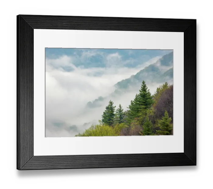 Framed Print : Morning spring view of Oconaluftee Valley with rising mist, Great Smoky Mountains National Park, North Carolina Framed Print : Morning spring view of Oconaluftee Valley with rising mist, Great Smoky Mountains National Park, North Carolina