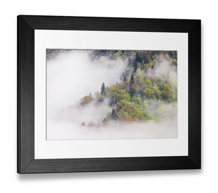 Framed Print : Mist rising from tapestry of blooming trees in spring, Great Smoky Mountains National Park, North Carolina Framed Print : Mist rising from tapestry of blooming trees in spring, Great Smoky Mountains National Park, North Carolina