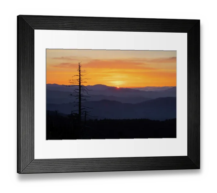 Framed Print : Single tree silhouetted at sunrise, Clingmans Dome area, Great Smoky Mountains National Park, North Carolina Framed Print : Single tree silhouetted at sunrise, Clingmans Dome area, Great Smoky Mountains National Park, North Carolina