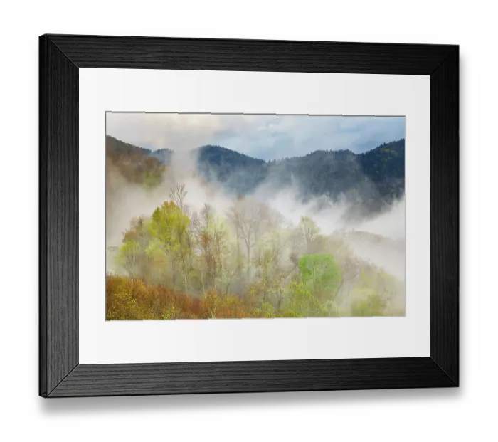 Framed Print : Mist rising from tapestry of blooming trees in spring, Great Smoky Mountains National Park, North Carolina Framed Print : Mist rising from tapestry of blooming trees in spring, Great Smoky Mountains National Park, North Carolina