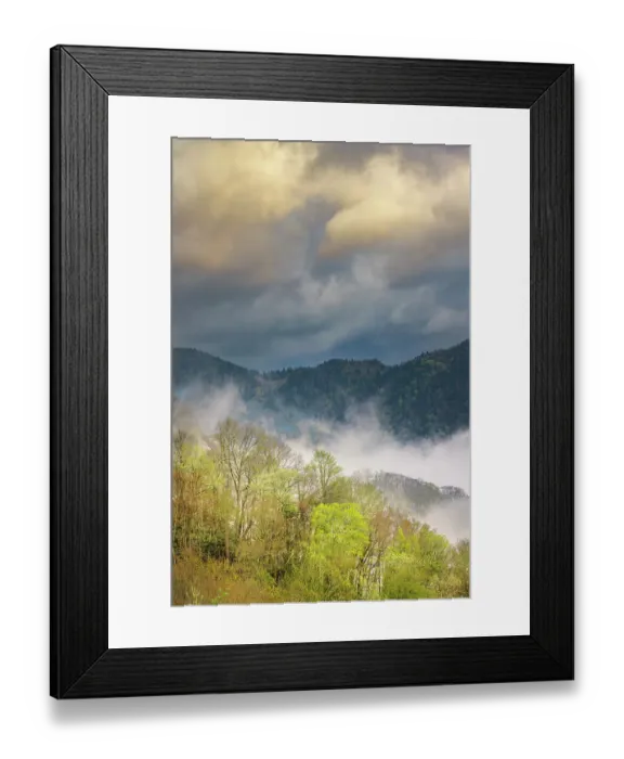 Framed Print : Mist rising from tapestry of blooming trees in spring, Great Smoky Mountains National Park, North Carolina