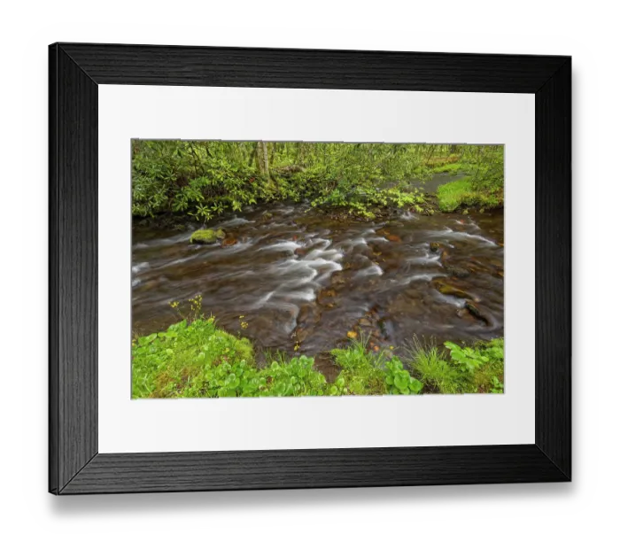 Framed Print : Cataloochee Creek in spring, Cataloochee Valley, Great Smoky Mountains National Park, North Carolina