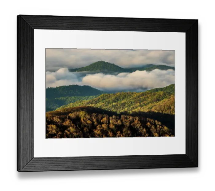 Framed Print : Early morning spring view of mountains and mist, from Clingmans Dome area, Great Smoky Mountains National Park, North Carolina Framed Print : Early morning spring view of mountains and mist, from Clingmans Dome area, Great Smoky Mountains National Park, North Carolina
