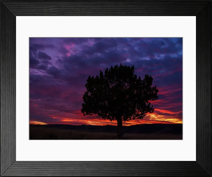 Framed Print : USA, Oregon, high desert, juniper sunset Framed Print : USA, Oregon, high desert, juniper sunset