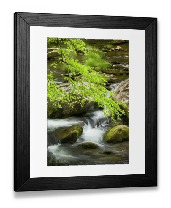 Framed Print : Mountain stream cascading over rocks, Great Smoky Mountains National Park, Tennessee Framed Print : Mountain stream cascading over rocks, Great Smoky Mountains National Park, Tennessee