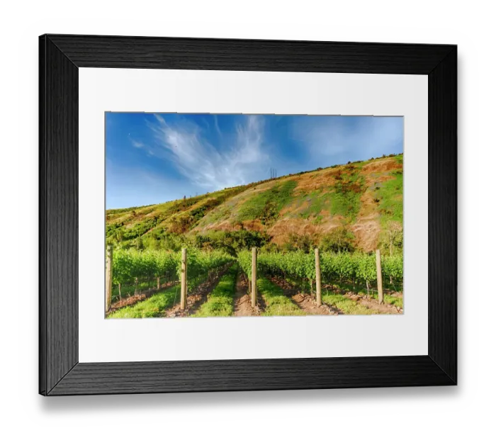 Framed Print : USA, Oregon, Milton-Freewater. Resurgent Vineyard is part of the expanding Rocks district in the Walla Walla AVA. Table and chairs await guests. (Editorial Use Only)