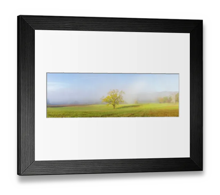 Framed Print : Walnut tree in fall and fog Cades Cove, Great Smoky Mountains National Park, Tennessee Framed Print : Walnut tree in fall and fog Cades Cove, Great Smoky Mountains National Park, Tennessee