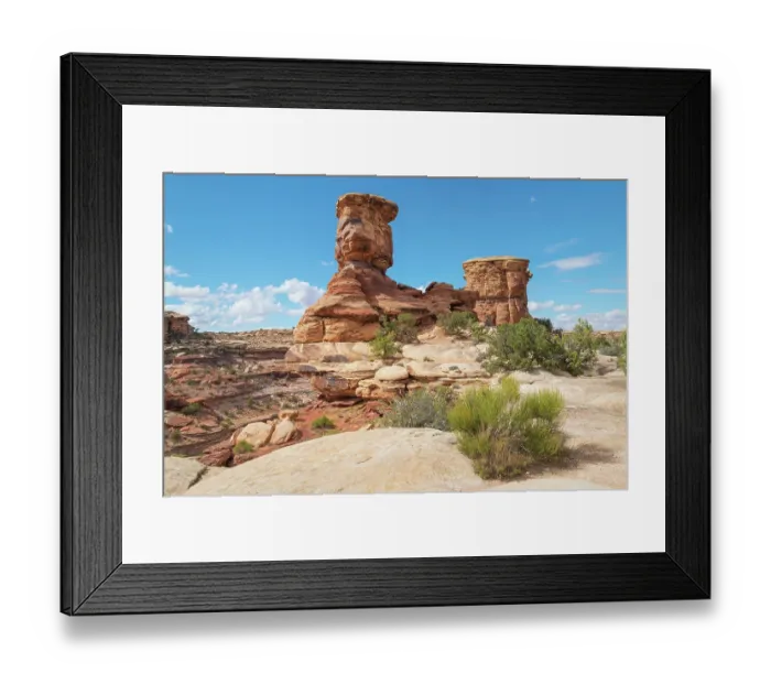 Framed Print : Big Spring Canyon in Needles District, Canyonlands National Park. Utah Framed Print : Big Spring Canyon in Needles District, Canyonlands National Park. Utah