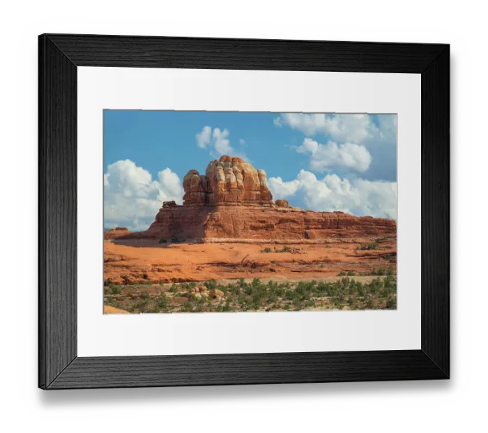 Framed Print : Needles District, Canyonlands National Park, Utah Framed Print : Needles District, Canyonlands National Park, Utah