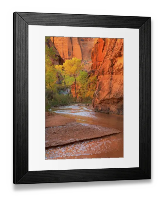 Framed Print : Coyote Gulch, Glen Canyon National Recreation Area, Utah Framed Print : Coyote Gulch, Glen Canyon National Recreation Area, Utah