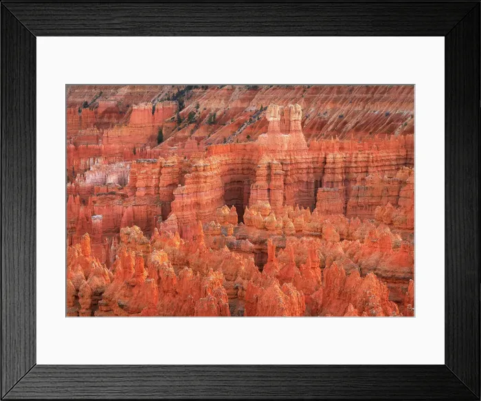 Framed Print : Colorful hoodoos seen from Sunrise Point, Bryce Canyon National Park, Utah Framed Print : Colorful hoodoos seen from Sunrise Point, Bryce Canyon National Park, Utah