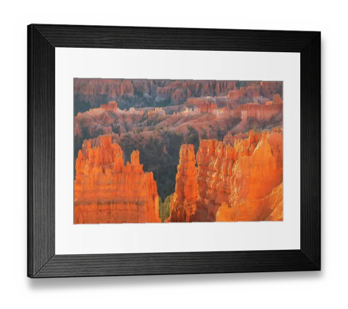 Framed Print : Colorful hoodoos glowing in morning light, seen from Sunrise Point, Bryce Canyon National Park, Utah