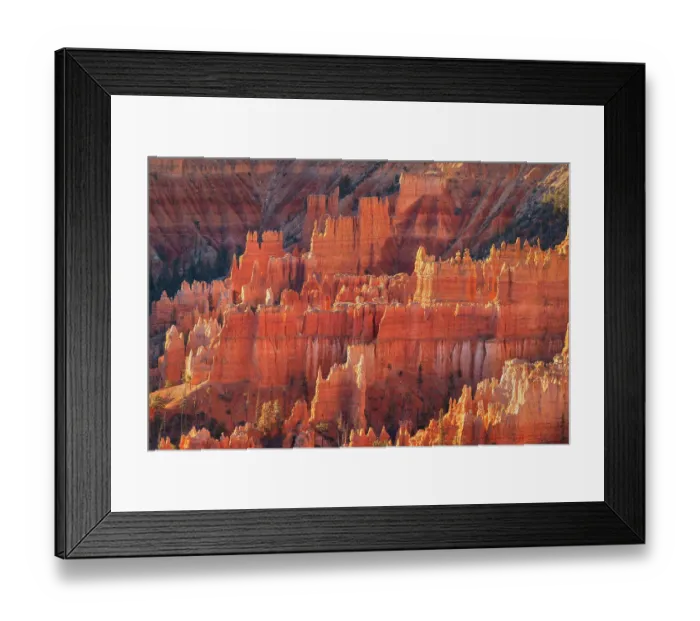 Framed Print : Colorful hoodoos glowing in morning light, seen from Sunrise Point, Bryce Canyon National Park, Utah