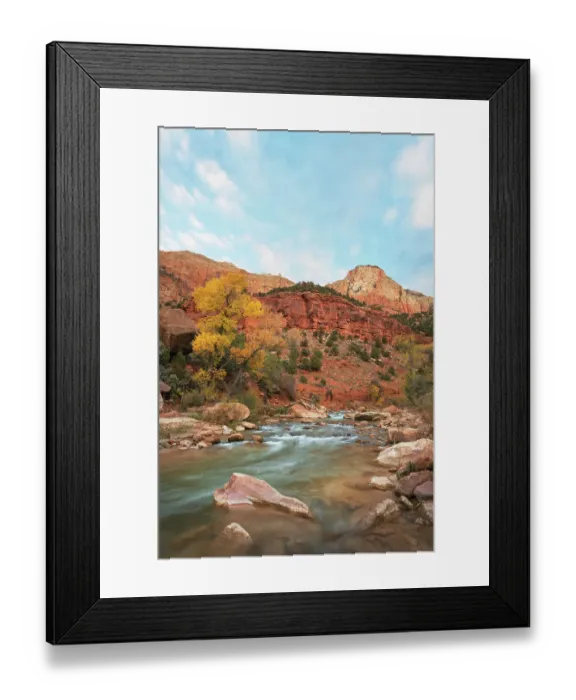 Framed Print : Fall color along the Virgin River, Zion National Park, Utah Framed Print : Fall color along the Virgin River, Zion National Park, Utah