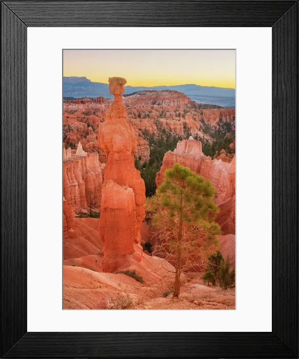 Framed Print : Thor's Hammer and colorful hoodoos seen from below the canyon rim at Sunrise Point, Bryce Canyon National Park, Utah