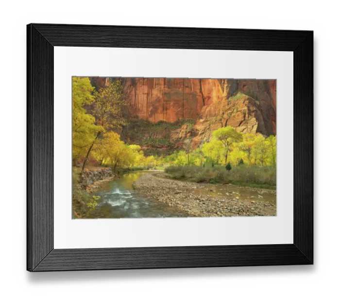 Framed Print : Fall color along the Virgin River, Zion National Park, Utah Framed Print : Fall color along the Virgin River, Zion National Park, Utah