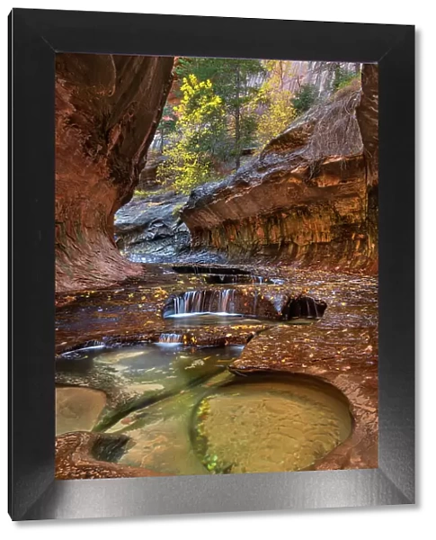 Emerald green pools in The Subway, Left Fork of North Creek, Zion National Park, Utah