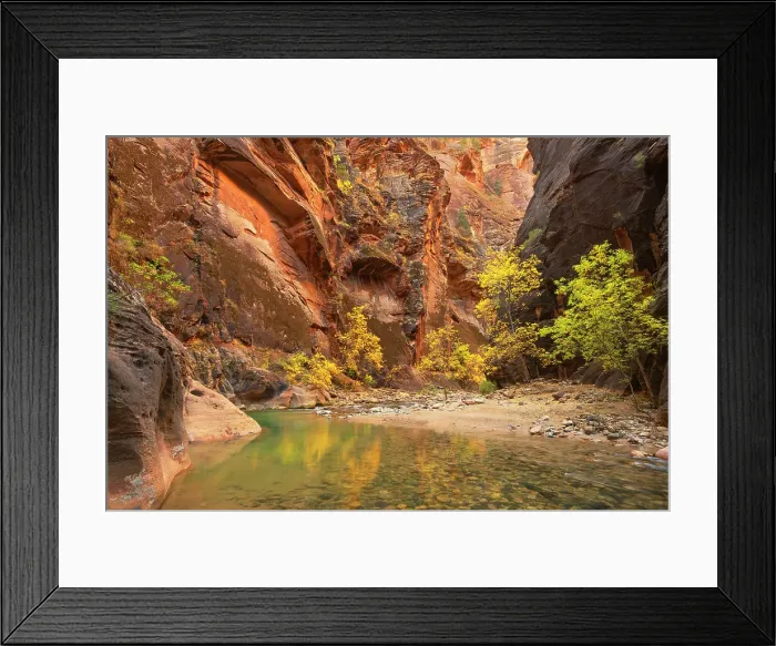 Framed Print : Fall color in Zion Canyon The Narrows, Zion National Park, Utah