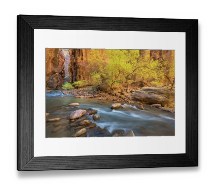 Framed Print : Fall color in Zion Canyon The Narrows, Zion National Park, Utah Framed Print : Fall color in Zion Canyon The Narrows, Zion National Park, Utah