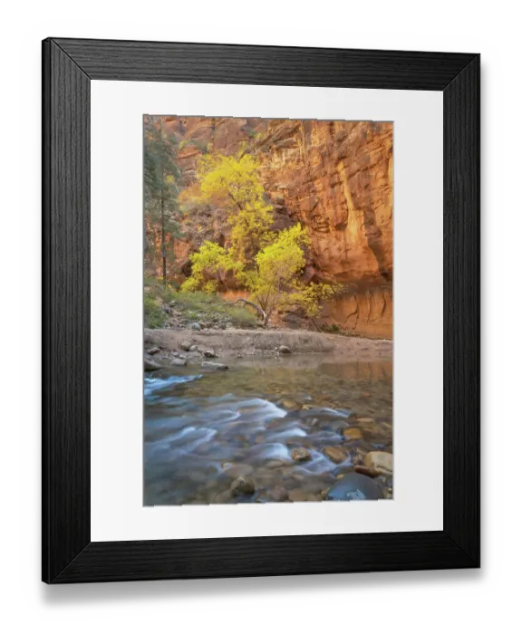 Framed Print : Fall color in Zion Canyon The Narrows, Zion National Park, Utah Framed Print : Fall color in Zion Canyon The Narrows, Zion National Park, Utah