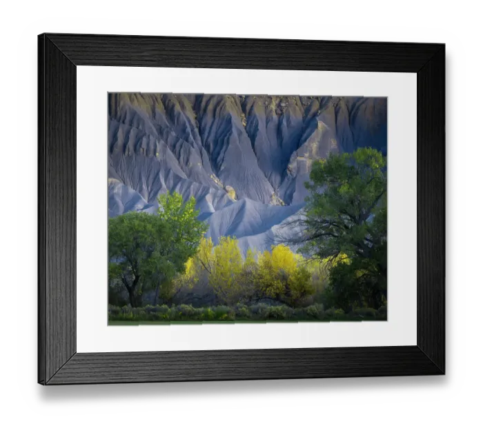 Framed Print : USA, Utah. Yellow cottonwood tree and gray mountain in autumn