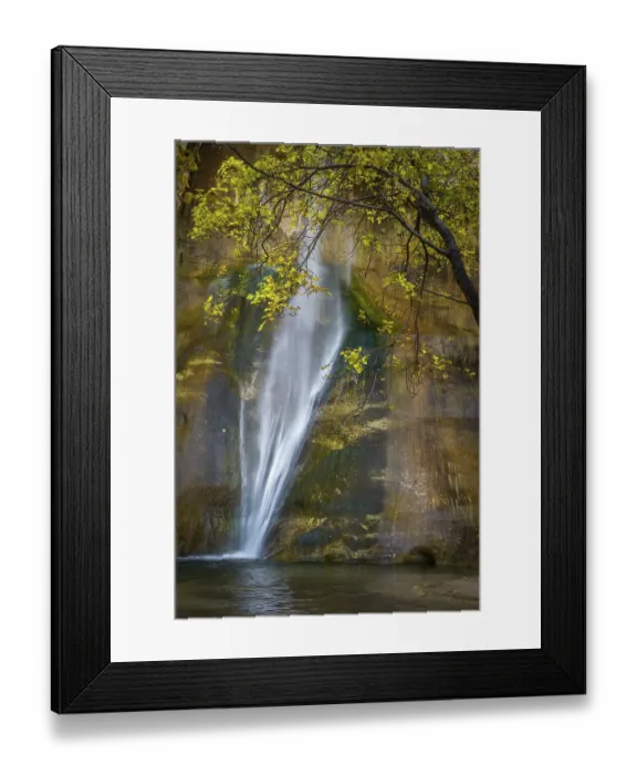 Framed Print : USA, Utah, Capital Reef National Park. Waterfall and tree overlooking pool