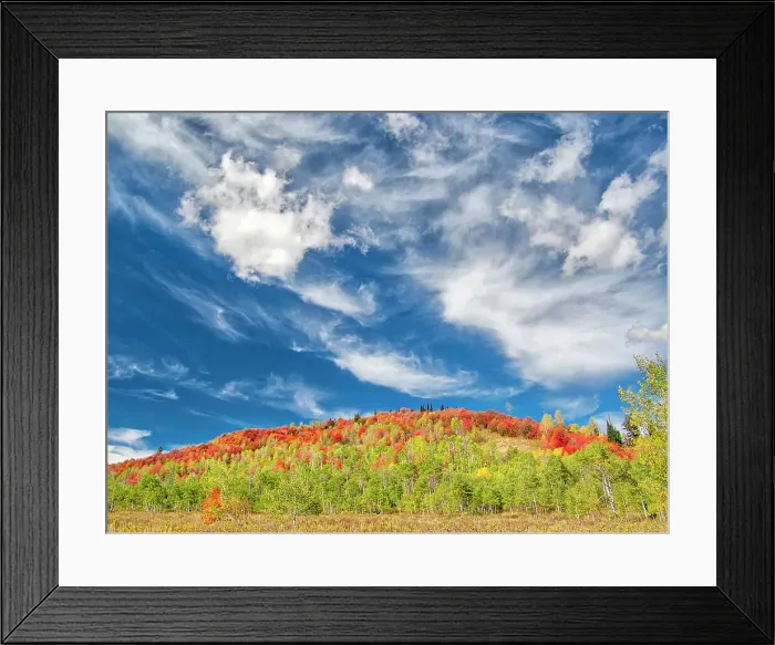 Framed Print : USA, Utah, Logan Pass. Colorful autumn in Provo Pass Framed Print : USA, Utah, Logan Pass. Colorful autumn in Provo Pass