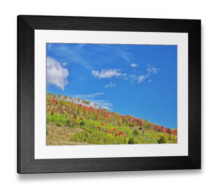 Framed Print : USA, Utah, Logan Pass. Colorful autumn in Provo Pass Framed Print : USA, Utah, Logan Pass. Colorful autumn in Provo Pass